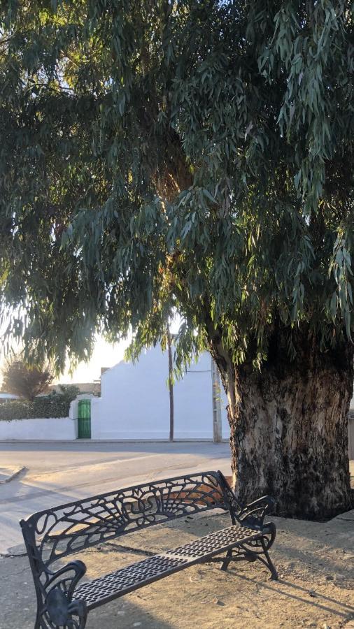 El Granado Villa Piedrabuena ภายนอก รูปภาพ