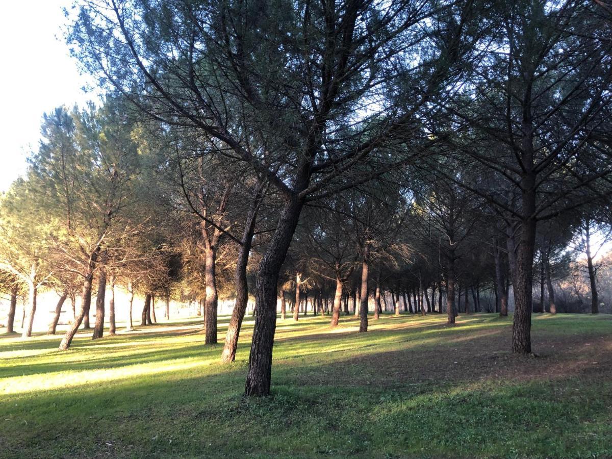 El Granado Villa Piedrabuena ภายนอก รูปภาพ
