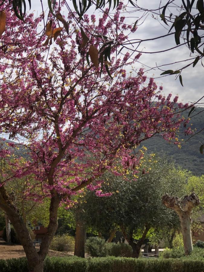 El Granado Villa Piedrabuena ภายนอก รูปภาพ