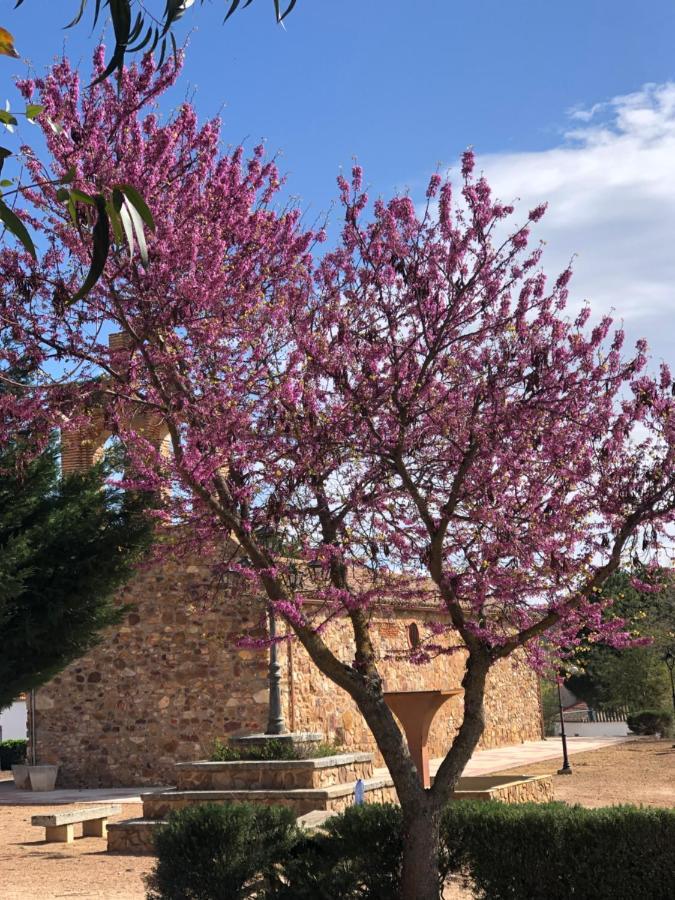 El Granado Villa Piedrabuena ภายนอก รูปภาพ